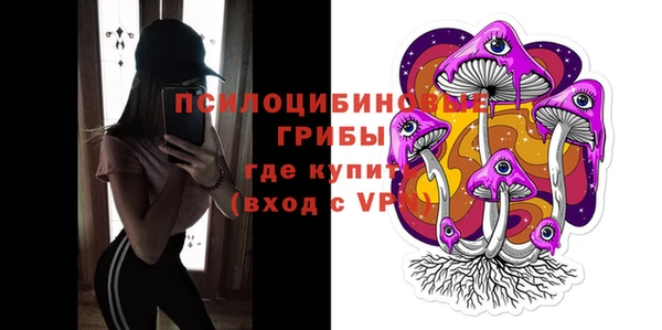 бошки Алексин