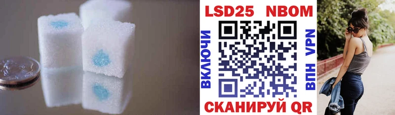 купить наркотики сайты  Вилючинск  Лсд 25 экстази ecstasy 