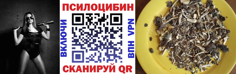Псилоцибиновые грибы мухоморы  Вилючинск 